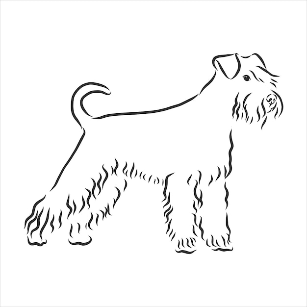 Dibujo de perro Zwergschnauzer, dibujo a mano de ilustración vectorial de contorno