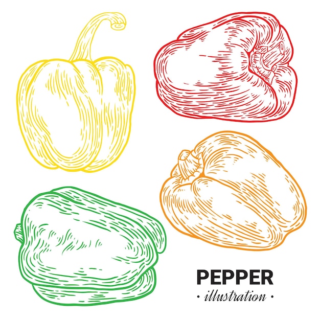 un dibujo de un pimienta y otras imágenes con las palabras pimienta