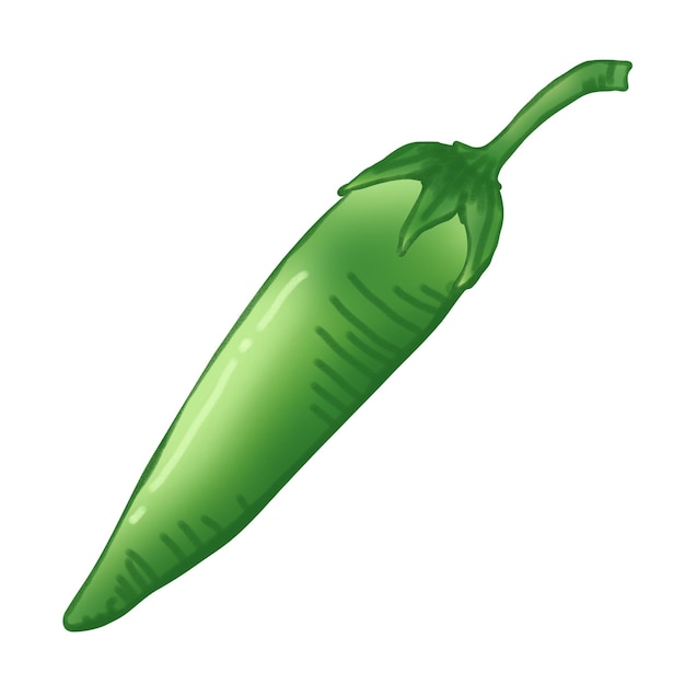 Vector dibujo de pimiento verde