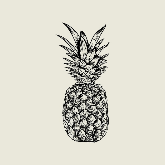 Dibujo de piña con estilo vintage