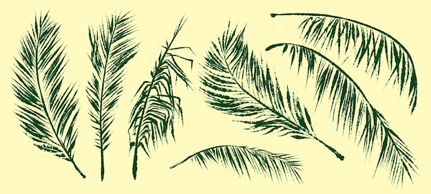 Dibujo de pincel de tinta con textura de hojas de palmera