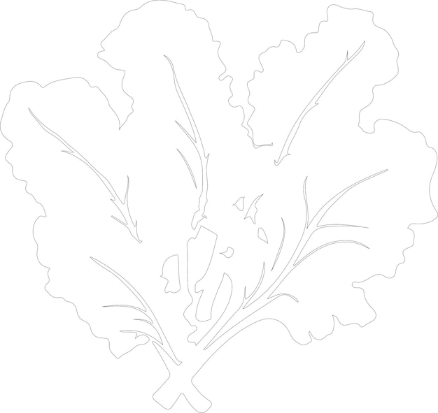un dibujo de una planta con un dibujado de una hoja