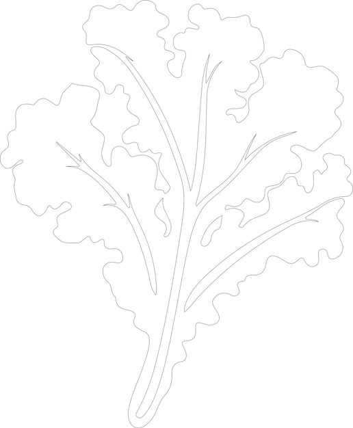 un dibujo de una planta con un dibujo en línea de una hoja