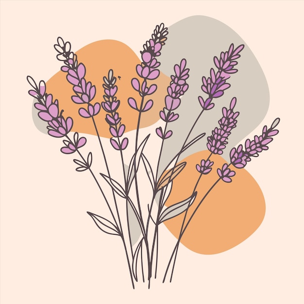 un dibujo de una planta con flores púrpuras