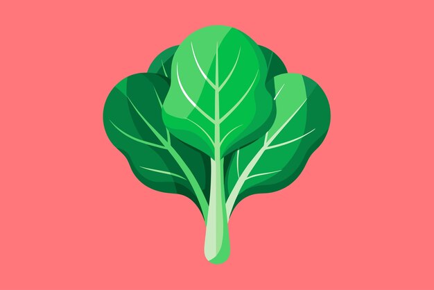 Vector un dibujo de una planta con las hojas en ella