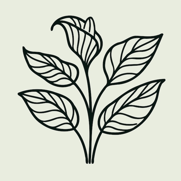 un dibujo de una planta con hojas en ella