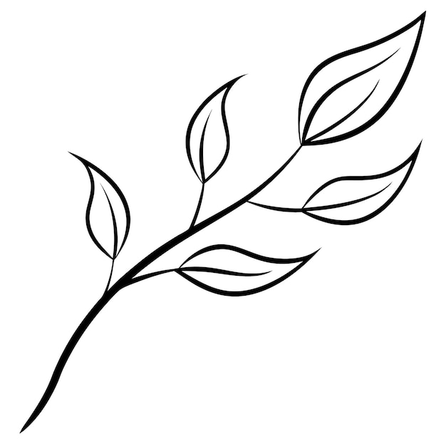 un dibujo de una planta con hojas que dice " planta "