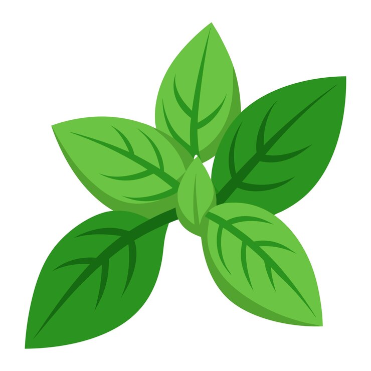 un dibujo de una planta con hojas verdes