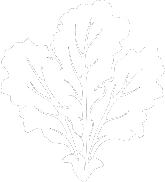 un dibujo de una planta con una línea en ella