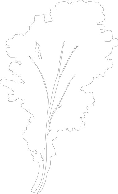 un dibujo de una planta con una línea que dice flor