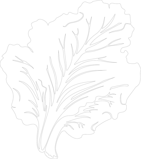 un dibujo de una planta con las palabras garabateado en él
