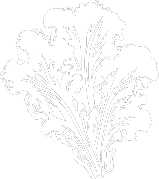un dibujo de una planta con un patrón en ella