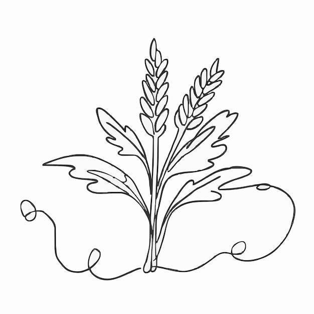 Vector un dibujo de una planta con una planta en ella