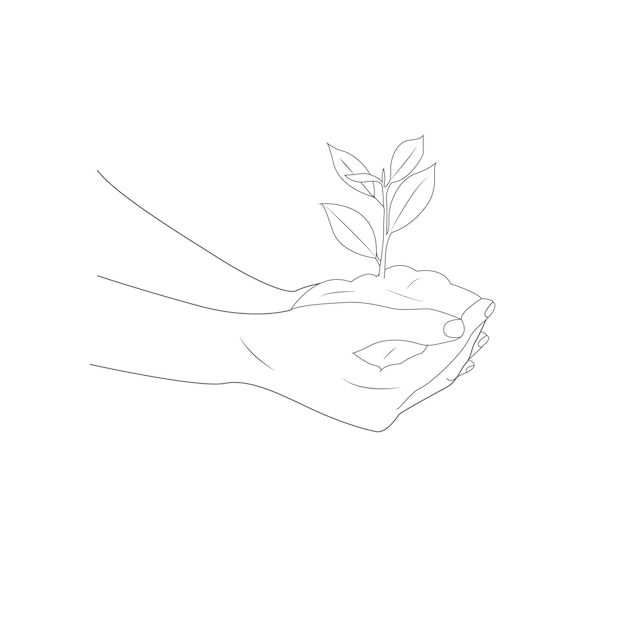 un dibujo de una planta que está dibujado en blanco y negro
