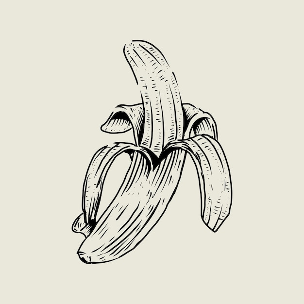 Dibujo de plátano con estilo vintage.