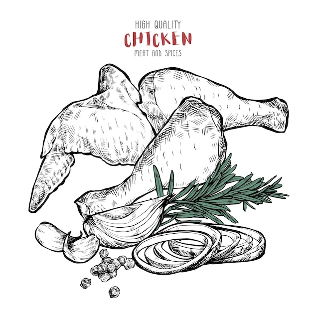 Dibujo de pollo de alta calidad en estilo grabado Cortar carne con especias Ilustración culinaria