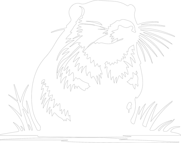 un dibujo de un pollo con un gallo en él