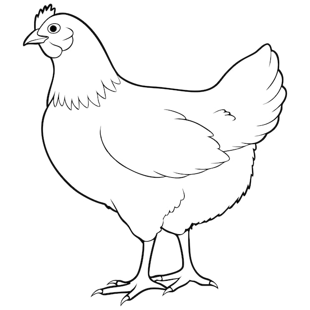 un dibujo de un pollo que es blanco y negro