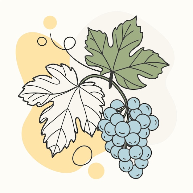 un dibujo de un racimo de uvas con una hoja en él