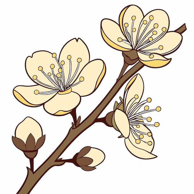 un dibujo de una rama con flores en ella