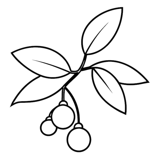 un dibujo de una rama con una rama de frutas colgando de ella