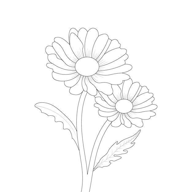 Dibujo de ramo Flor de margarita Página para colorear con vector de arte de línea de lápiz dibujado a mano decorativo