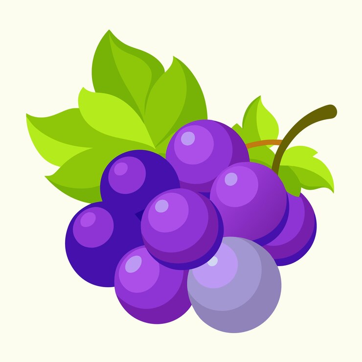 Vector un dibujo de un ramo de uvas púrpuras con hojas verdes