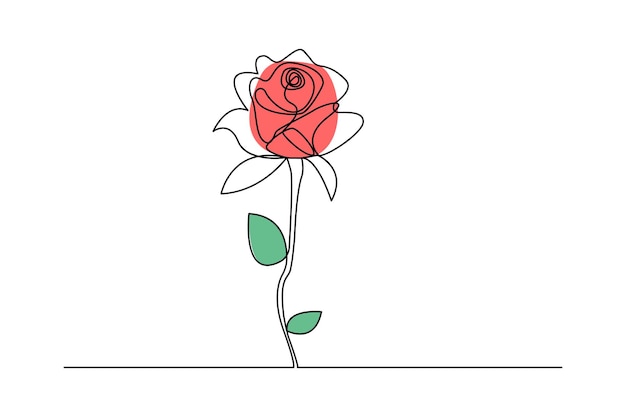 un dibujo de una rosa con un dibujado de una rosa
