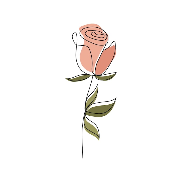 Dibujo de rosa. ilustración vectorial