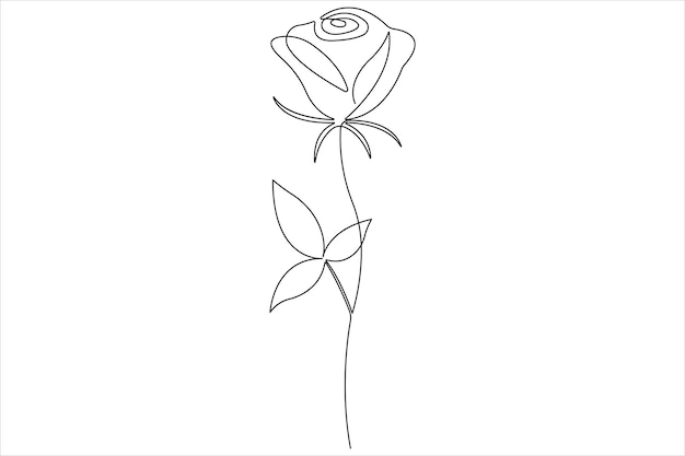 un dibujo de una rosa con una rosa blanca dibujada en ella