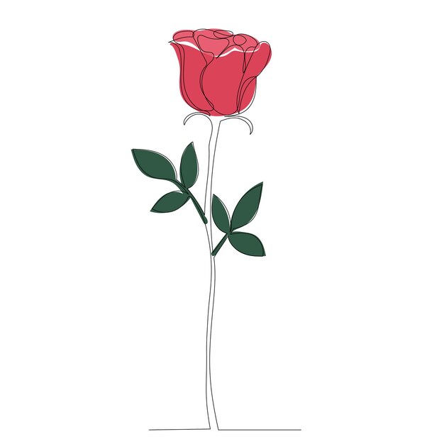 Dibujo de rosa por un vector aislado de línea continua