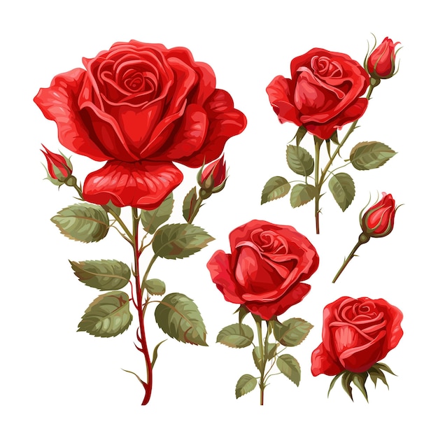 un dibujo de rosas rojas con hojas verdes y hojas