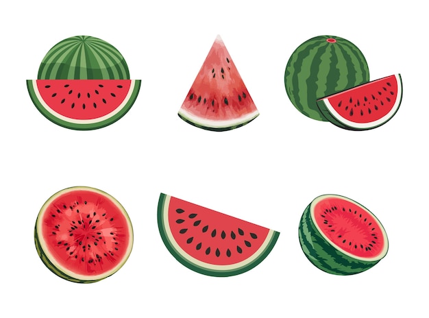 Un dibujo de sandía con diferentes colores y formas