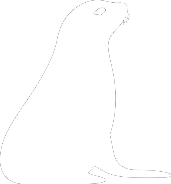 un dibujo de un sello con la palabra gaviota en él
