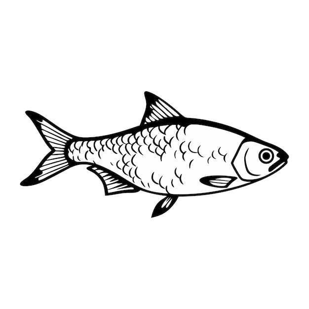 Dibujo sencillo de un pez