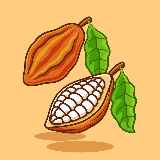dibujo sencillo de la vaina de cacao cacao fruta de cacao buah cokelat diseño vectorial ilustración de dibujos animados