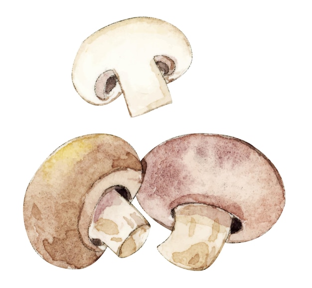 un dibujo de setas con una coloración marrón y amarilla