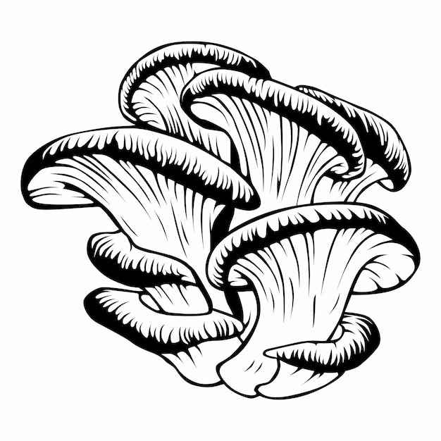 un dibujo de setas en un fondo blanco con un contorno negro