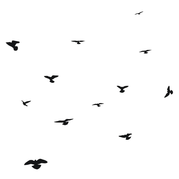 Dibujo de silueta de una bandada de pájaros voladores que vuelan en diferentes posiciones