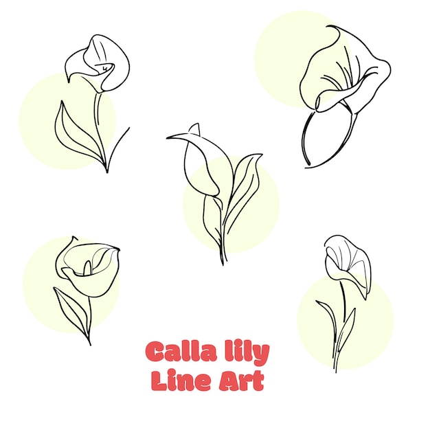 Un dibujo de silueta vector flores calla illy