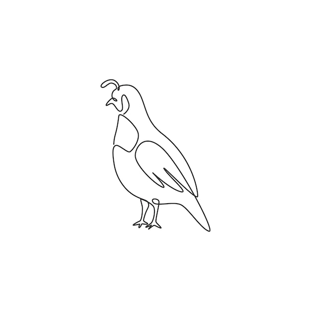 Un dibujo de una sola línea de la adorable codorniz del valle de California para la identidad del logotipo de aves de corral Concepto de mascota de pájaro de baño de polvo para el icono del zoológico nacional Ilustración vectorial de diseño de dibujo de línea continua moderna