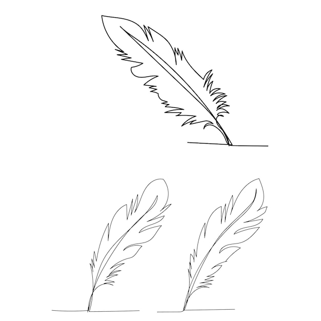 Dibujo de una sola línea aislada de pluma de pájaro