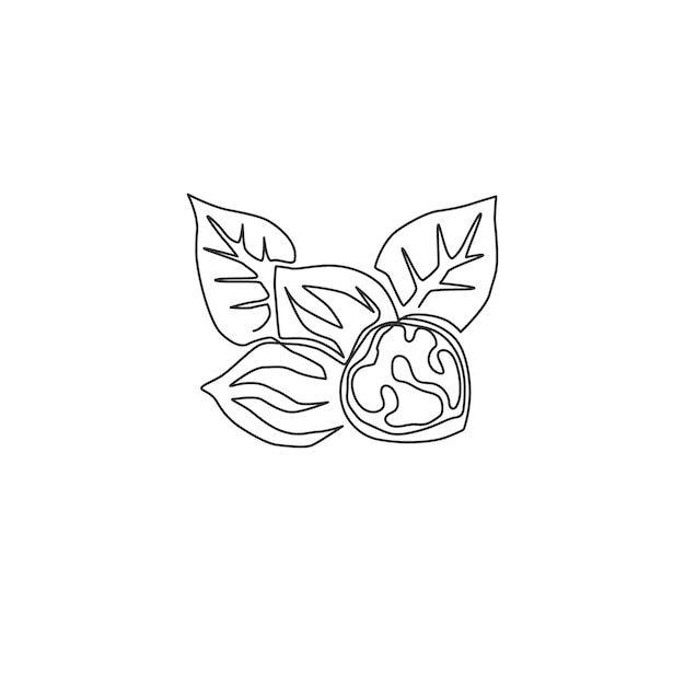 Un dibujo de una sola línea de alimentos y hojas de nueces orgánicas saludables para el vector de diseño del logotipo del huerto