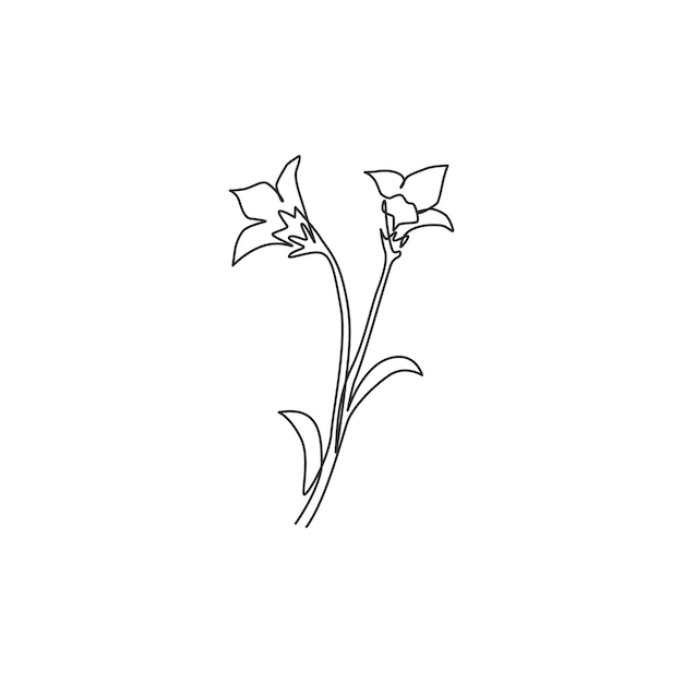 Dibujo de una sola línea arte de pared de planta perenne bulbosa vector de diseño de flor de campanilla decorativa