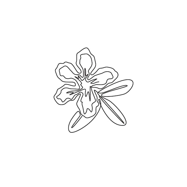 Un dibujo de una sola línea de belleza adenium para el logotipo del jardín cartel impresible decoración del hogar