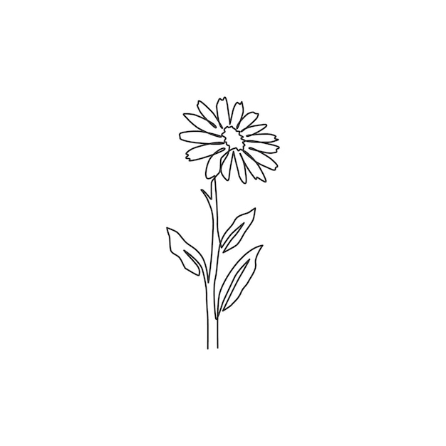 Un dibujo de una sola línea de belleza calendula fresca para cartel de decoración de pared flor de margarita imprimible