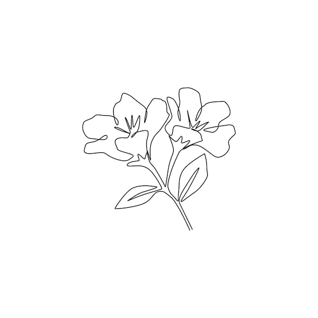 Dibujo de una sola línea de la belleza de la flor de la anémona para el arte de la pared Ilustración vectorial de diseño decorativo