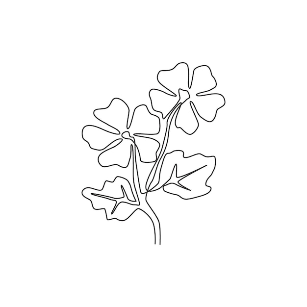 Dibujo de una sola línea de belleza malva común para impresión de carteles Flor de malva sylvestris imprimible