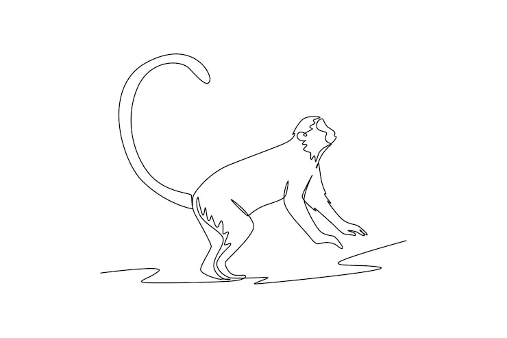 Vector dibujo de una sola línea concepto de animal mamífero diseño de dibujo de línea continua ilustración vectorial gráfica