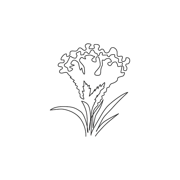 Dibujo de una sola línea continua de celosia cerebral de belleza para el arte del cartel Tarjeta de boda con flores de Cockscomb